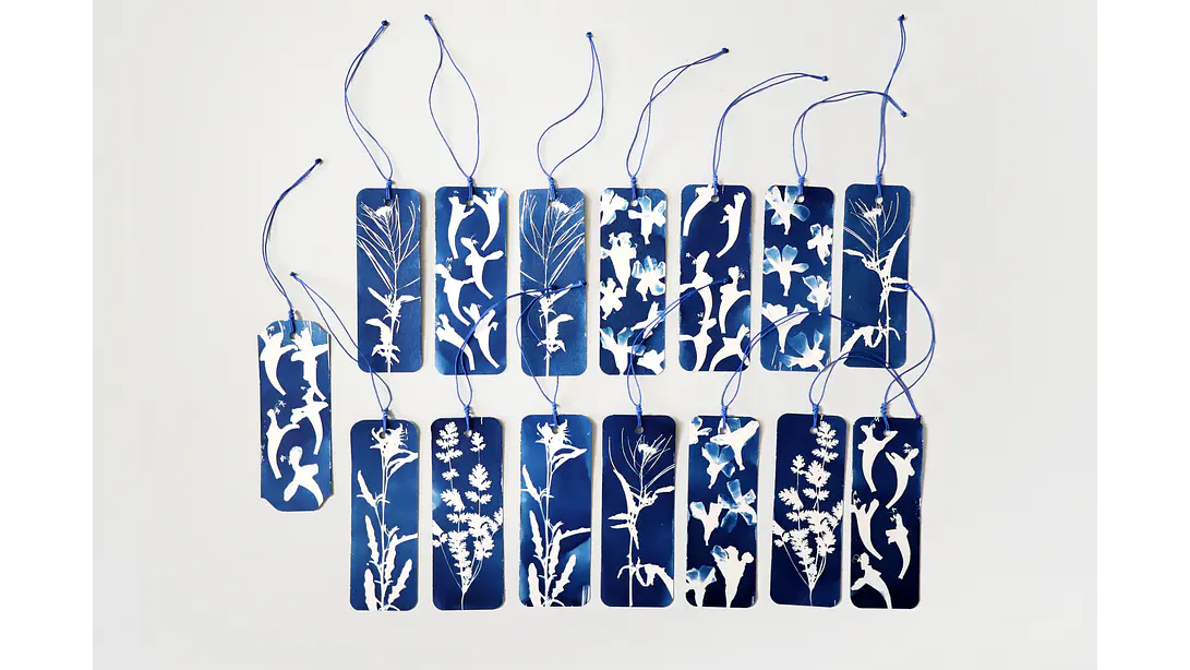 Marcapágina Botánica de Alto del Carmen 1