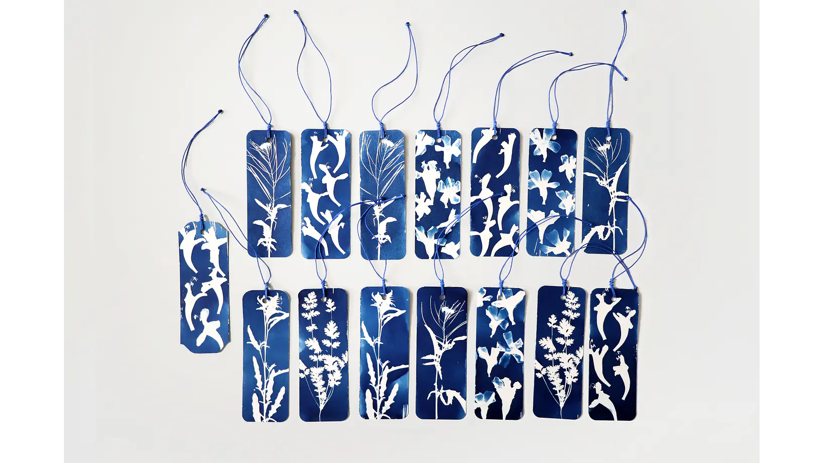 Marcapágina Botánica de Alto del Carmen 1