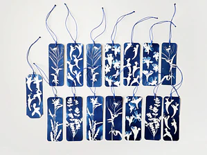 Marcapágina Botánica de Alto del Carmen