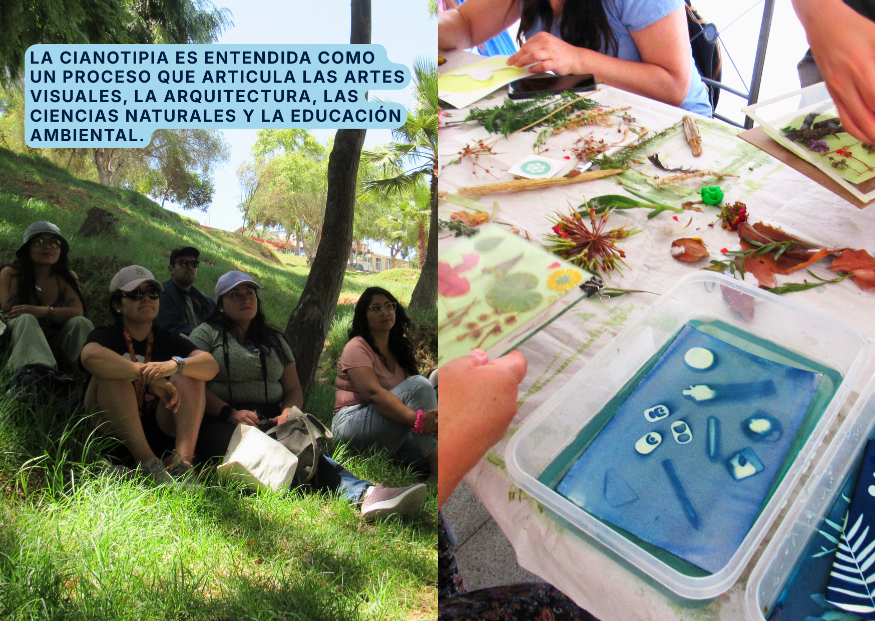 Kit pedagógico Anna Atkins 3