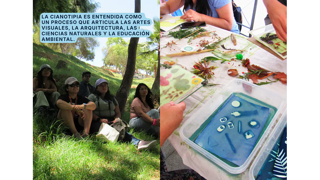 Kit pedagógico Anna Atkins 3