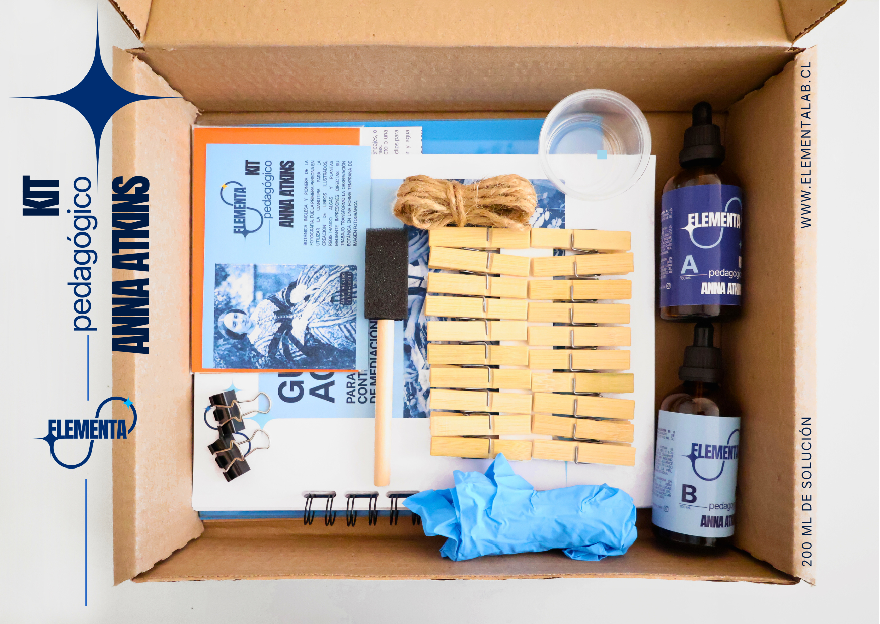 Kit pedagógico Anna Atkins 5