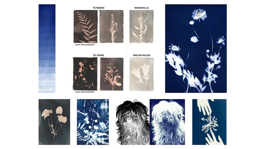 Kit de Inicio John Herschel 3