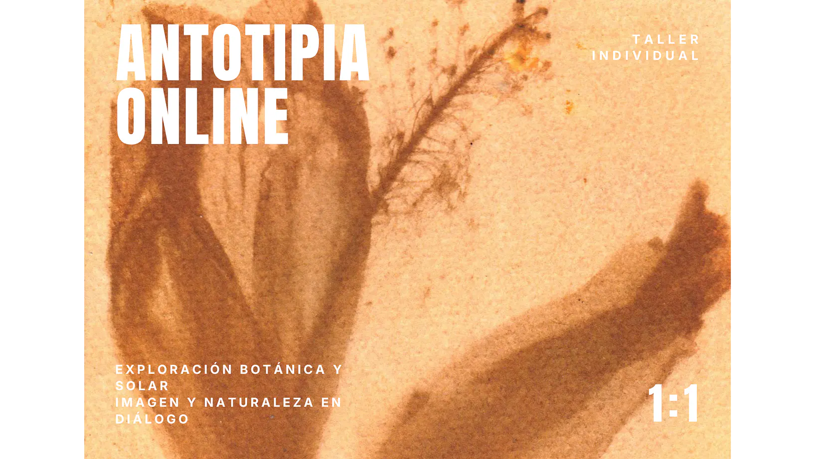 Taller individual Online: Introducción a la Antotipia 1