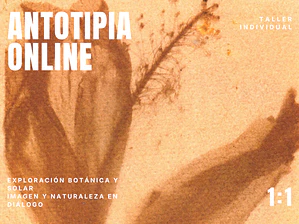 Taller individual Online: Introducción a la Antotipia