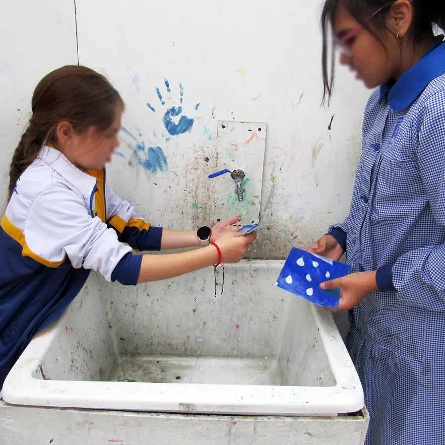 Cianotipia Botánica_Colegio Marista de La Serena