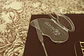 Borboleta de mistura - Thumbnail 4