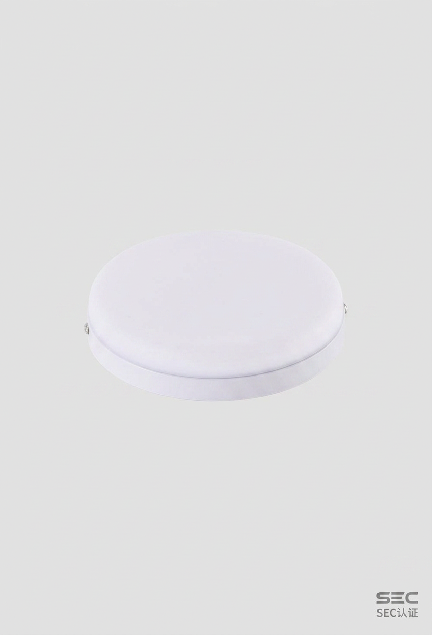 Foco LED Sobrepuesto Redondo Elfa - 24W (Equivale a 240W) Luz Día 6400K 1