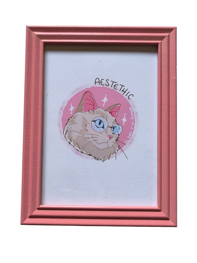 Cuadros Ilustrados 1