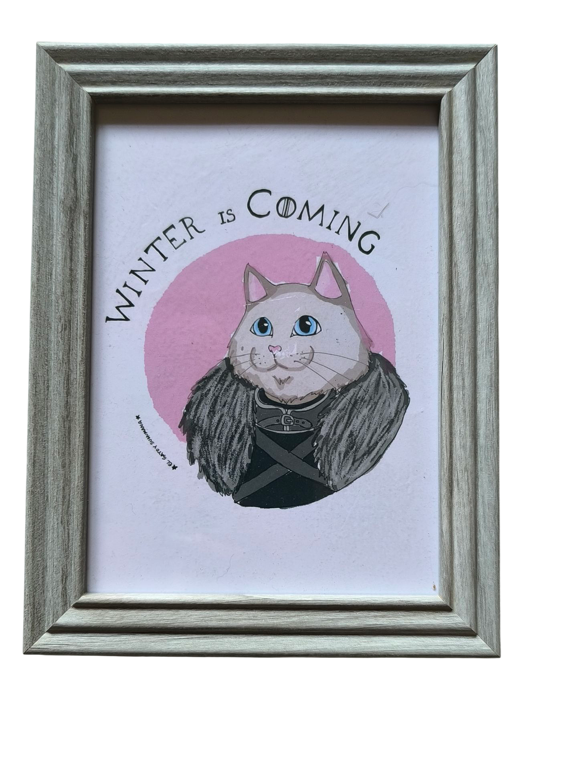 Cuadros Ilustrados 5