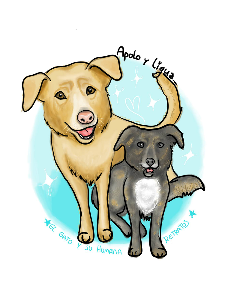 Inmortaliza a tu mascota 8