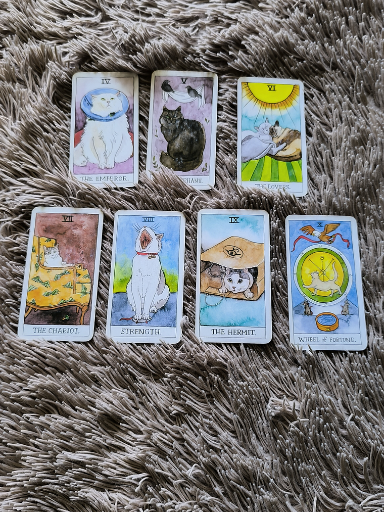 Oráculo Michi 🐾 4