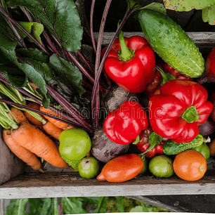 Canasta de verdura pequeña 