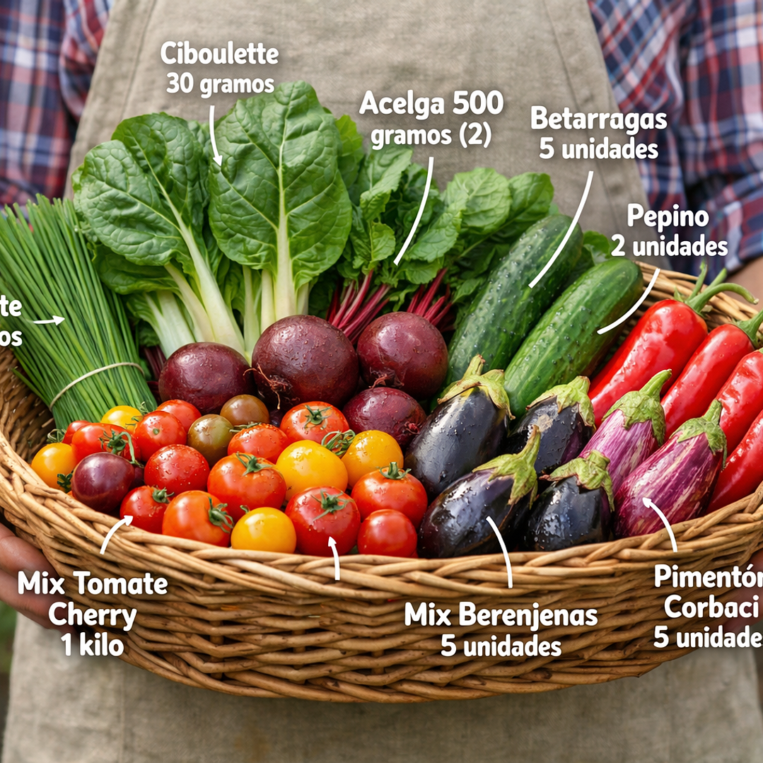 Canasta de verdura pequeña  1