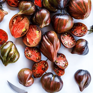 Rebel Starfighter Prime