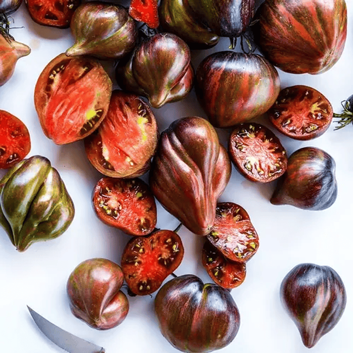 Rebel Starfighter Prime 1