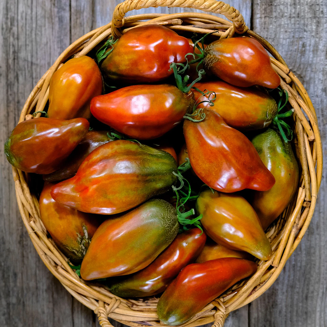 Cuban pepper like black  1