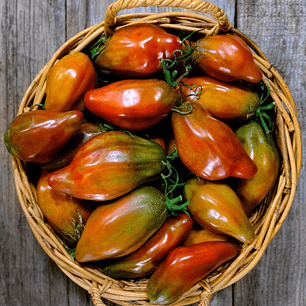 Cuban pepper like black 