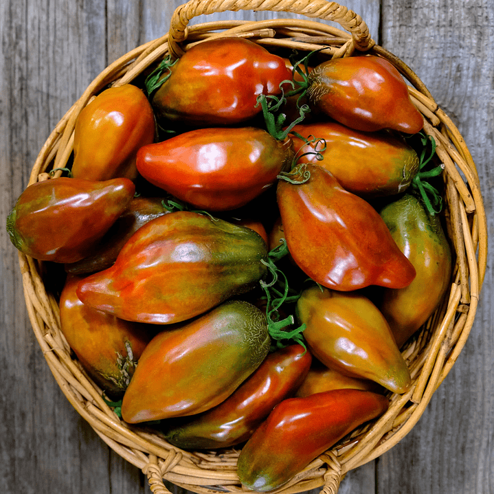 Cuban pepper like black  1