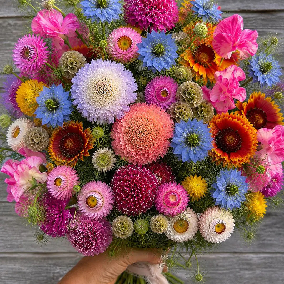 Moon Garden Collection — Flores de Invierno y Corte 1