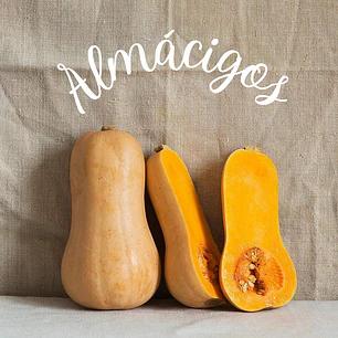 Butternut