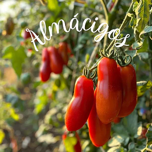 San Marzano