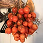 Pack de Semillas de Tomates de Guarda 🍅 - Miniatura 2