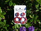 Doble Circulo Maxi Ladrillo - Miniatura 2