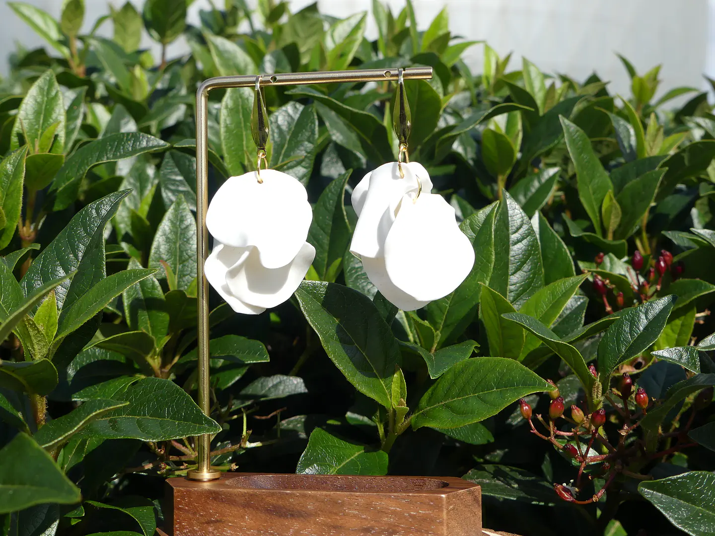 Pétalos Blanco 1