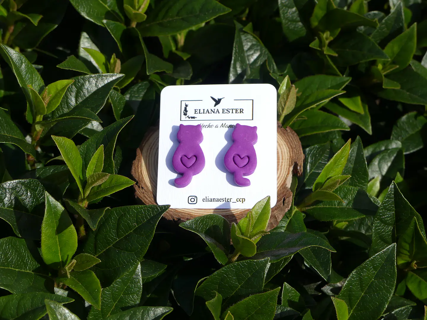 Gatitos Mini Morado 1