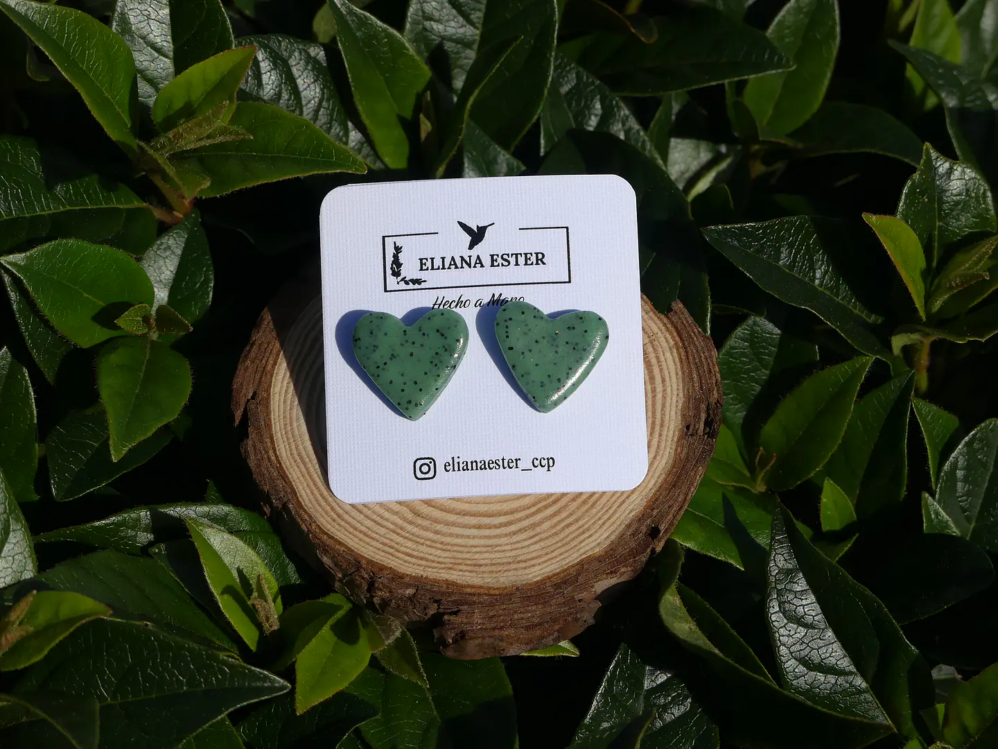 Corazón Verde Bosque 1