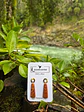 Acero cognac - Miniatura 2