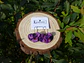 Flor Gancho Violeta - Miniatura 2
