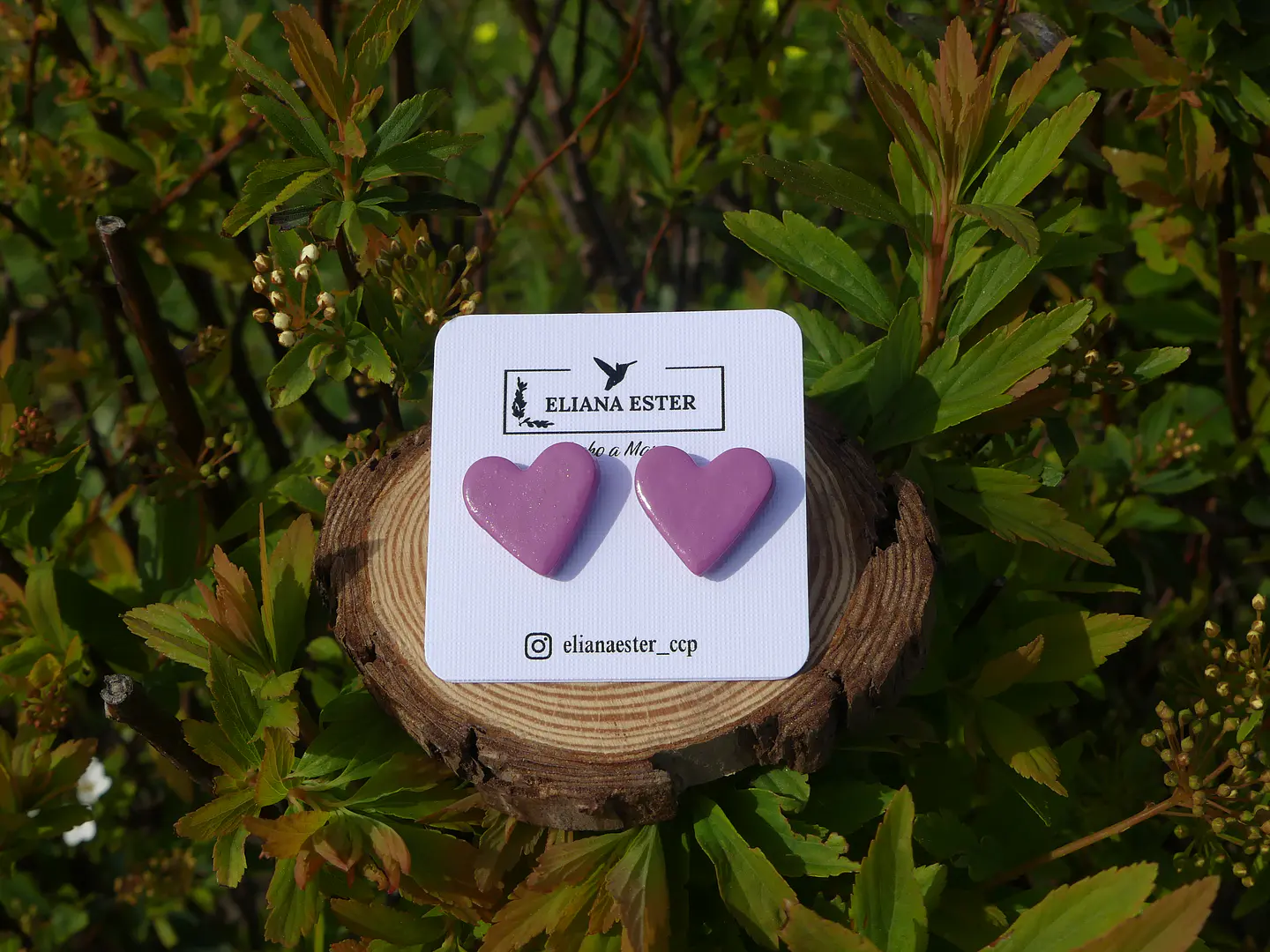 Corazón Rosa Palo 1
