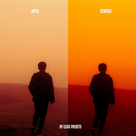 Blade Runner Yellow Presets Lightroom