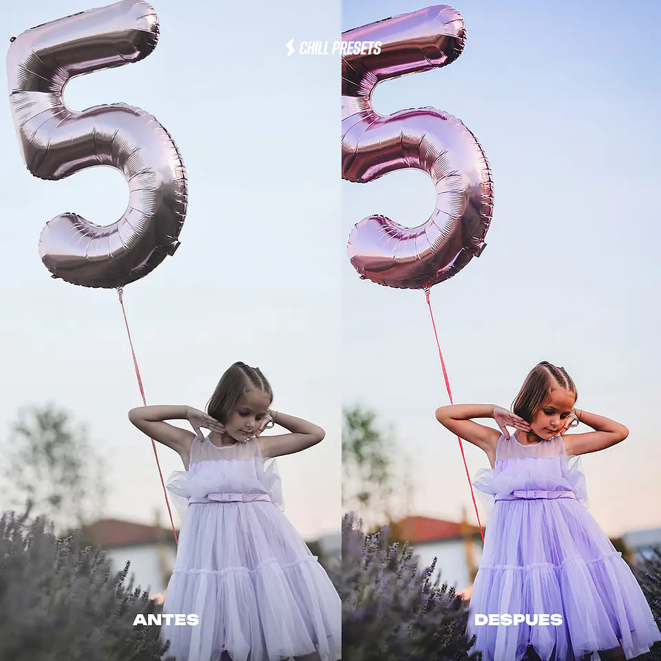 Evento Presets Lightroom 16