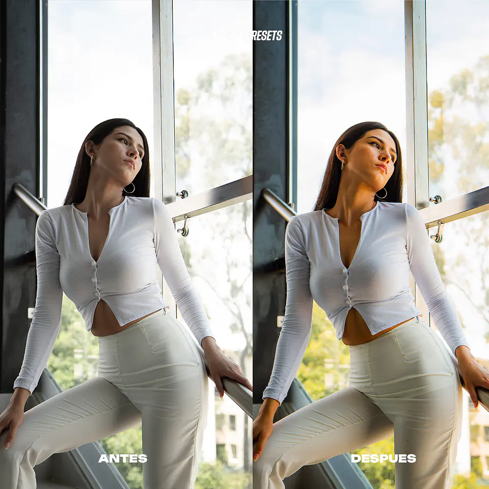 Evento Presets Lightroom 19