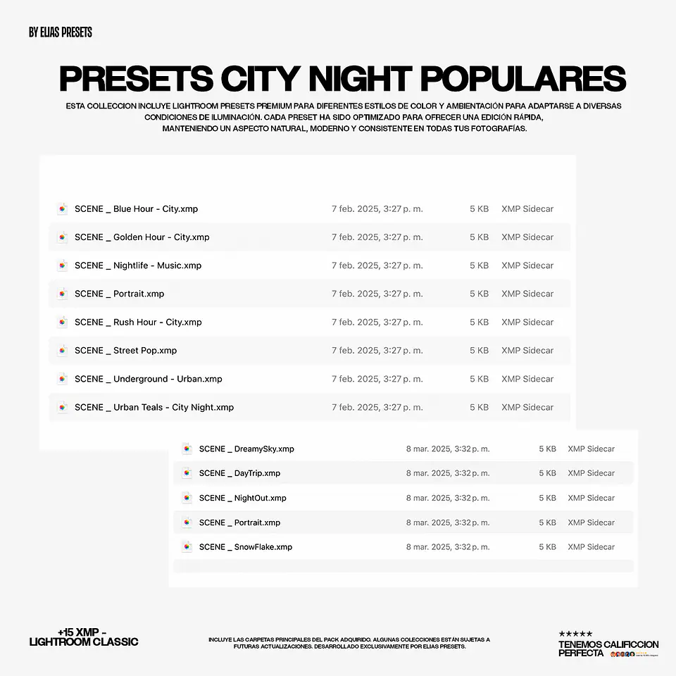 Night City Lightroom Presets 3
