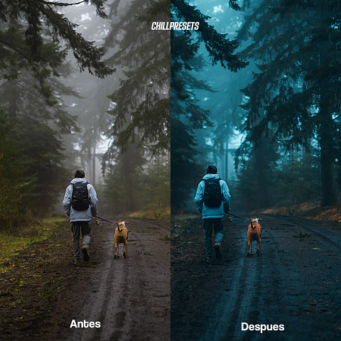 Cinematic Blues V1 Lightroom Presets