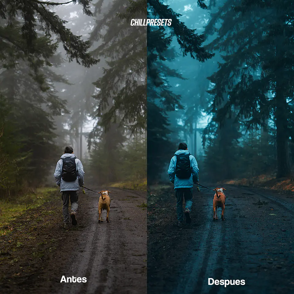 Cinematic Blues V1 Lightroom Presets 2