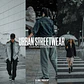 urban Streetwear Lightroom Presets - Miniatura 1