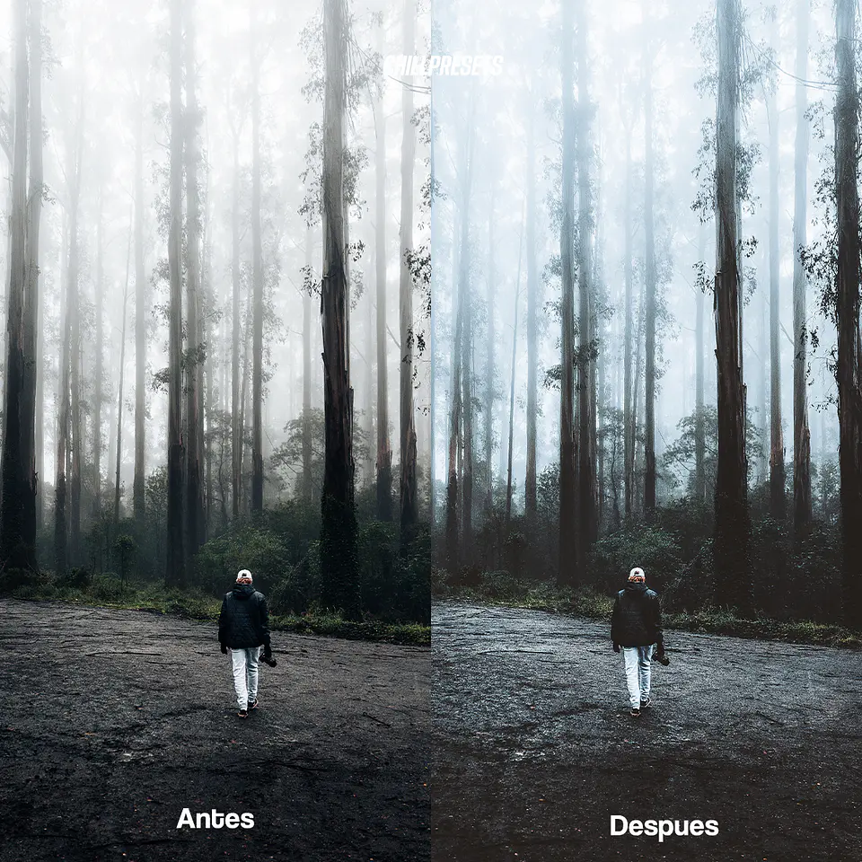 Plains Lightroom Presets 3
