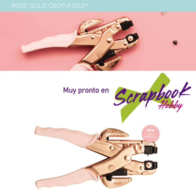 Crop A Dile Rose Gold