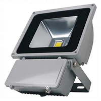 PROYECTOR LED COB 70W GRIS IP65 thumbnail 4