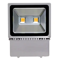 PROYECTOR LED COB 120W GRIS IP65 thumbnail 3