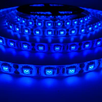 CINTA LED INTERIOR 14.4W SMD 5050 60LEDs/m 5mt. 12V. AZUL thumbnail 2