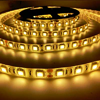 CINTA LED EXTERIOR 14.4W SMD 5050 60LEDs/m 5MT. 12V. LUZ CÁLIDA thumbnail 2