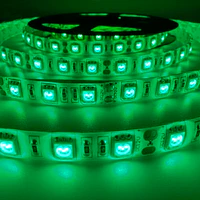 CINTA LED EXTERIOR 14.4W SMD 5050 60LEDs/m 5mt. 12V. VERDE thumbnail 2