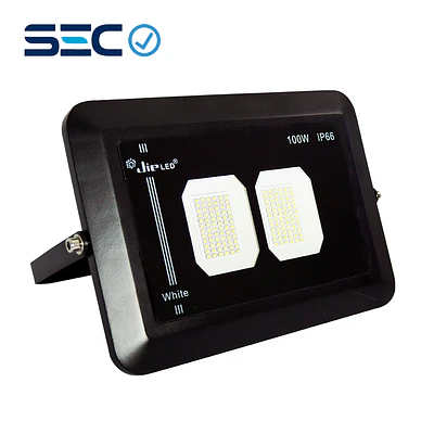 PROYECTOR LED ANTIVANDÁLICO 100W IP66