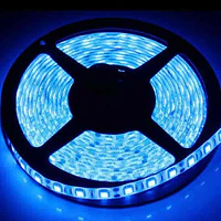 CINTA LED EXTERIOR 14.4W SMD 5050 60LEDs/m 5mt. 12V. AZUL thumbnail 1